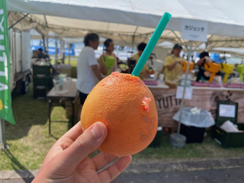ガジュッタ①